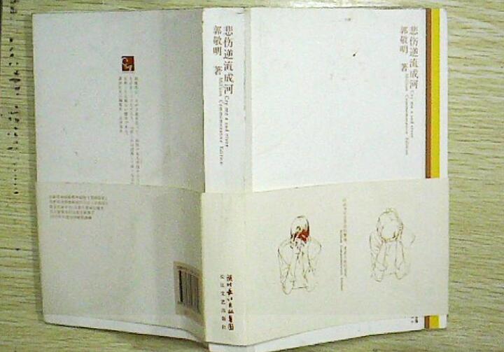 《悲伤逆流成河》书籍.jpg